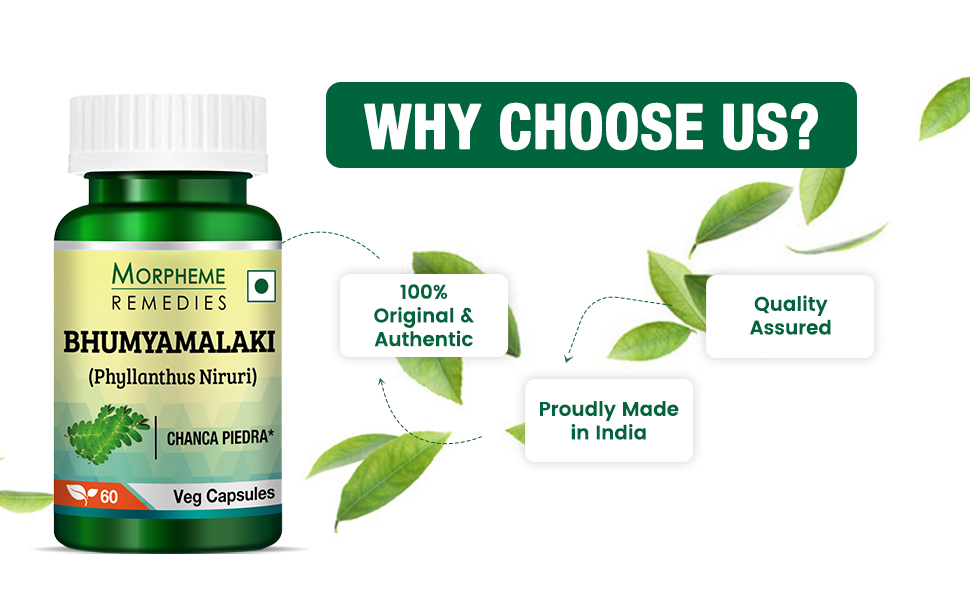 Morpheme Remedies Phyllanthus Niruri Bhumyamlaki 500 mg - 60 Veg Capsules