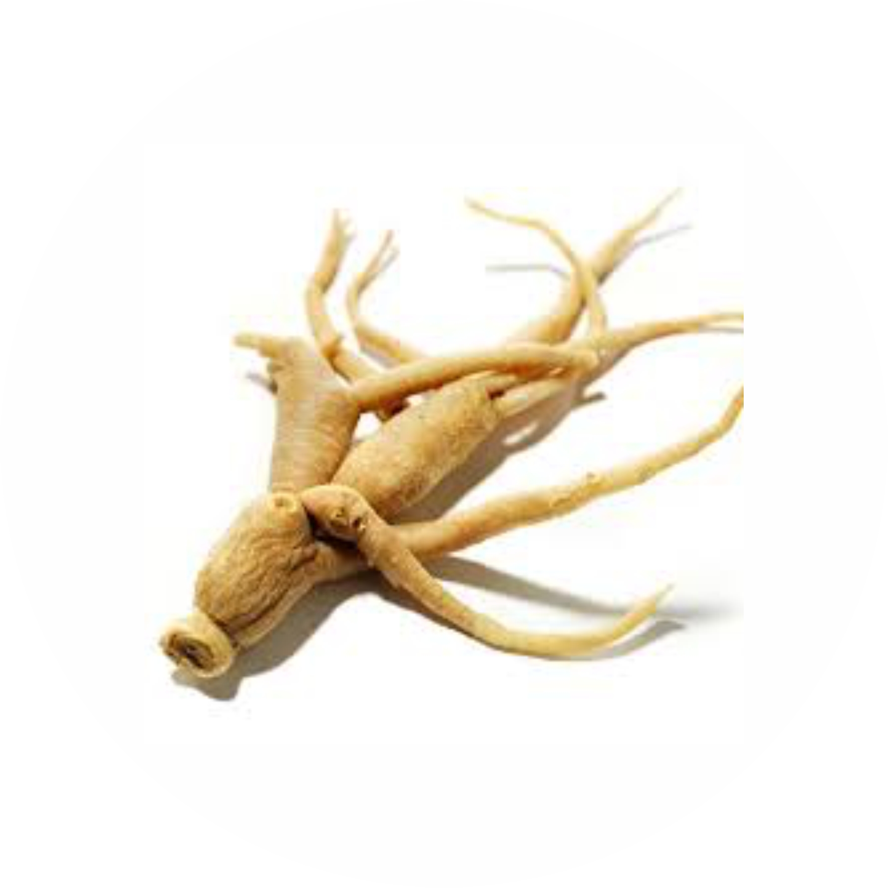 Herb Essential Pure Ashwagandha Powder - 50 g