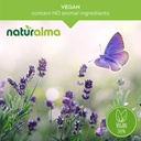 naturalma-wild-teasel-or-fuller-s-teasel-3.jpg