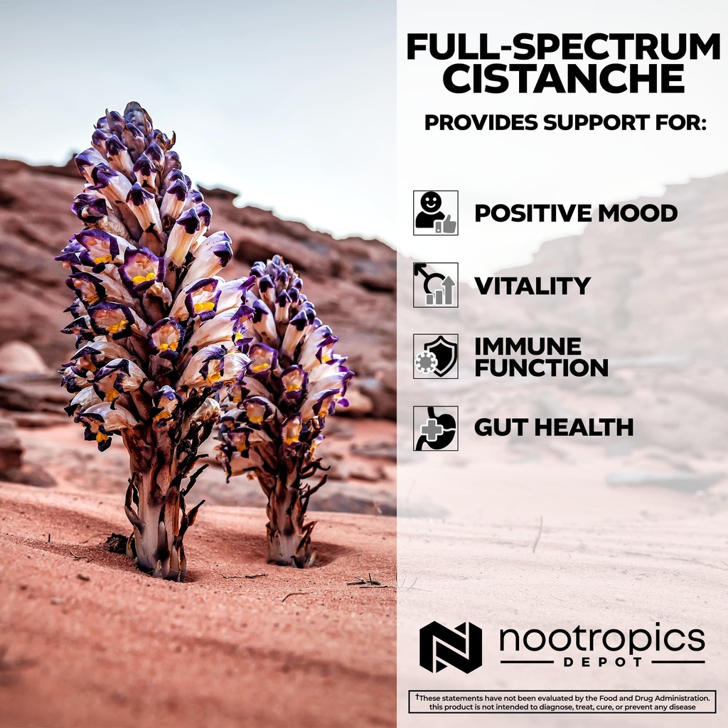 nootropics-depot-cistanche-tubulosa-caps-4.jpg