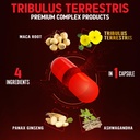 zolotus-premium-tribulus-terrestris-caps-3.jpg