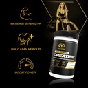 pvl-creapure-creatine-100-pure-german-cr-4.jpg
