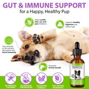 dog-probiotic-liquid-probiotics-for-dogs-6.jpg