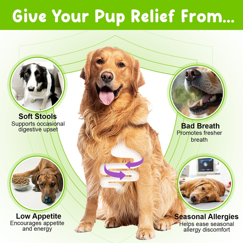 probiotics-for-dogs-3-in-1-liquid-probio-3.jpg