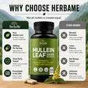 herbame-mullein-leaf-1000mg-120-capsules-6.jpg