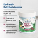 nordic-naturals-nordic-berries-cherry-be-3.jpg