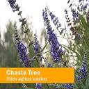 herb-pharm-chaste-tree-liquid-extract-fo-5.jpg