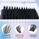 300d-lash-clusters-extensions-mega-clust-3.jpg
