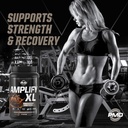 pmd-sports-amplify-xl-premium-whey-prote-4.jpg
