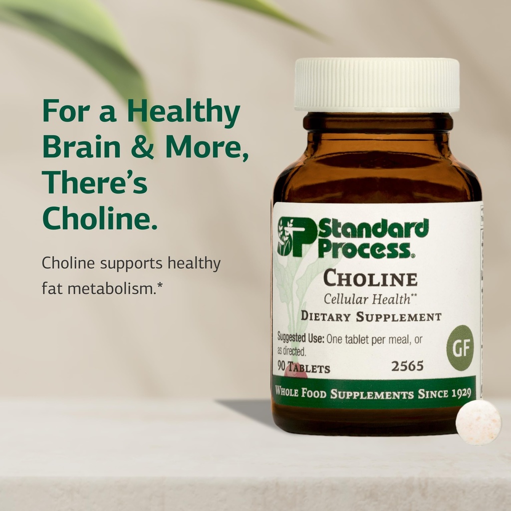 standard-process-choline-supports-health-3.jpg