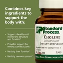 standard-process-choline-supports-health-4.jpg