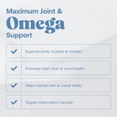 omax3-professional-strength-ultra-pure-o-2.jpg