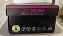 promarine-echa-marine-cellular-wellness--5.jpg
