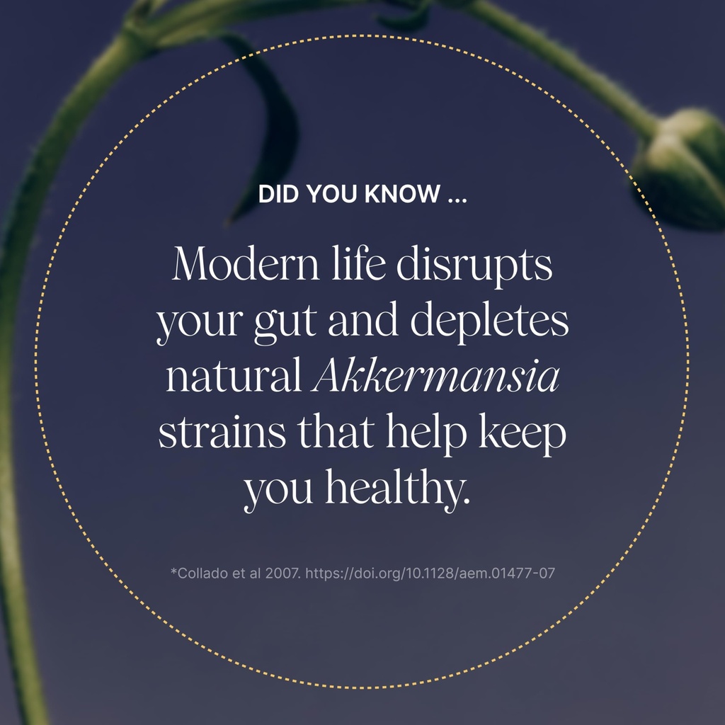 pendulum-akkermansia-probiotic-with-preb-2.jpg