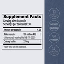 pendulum-akkermansia-probiotic-with-preb-6.jpg
