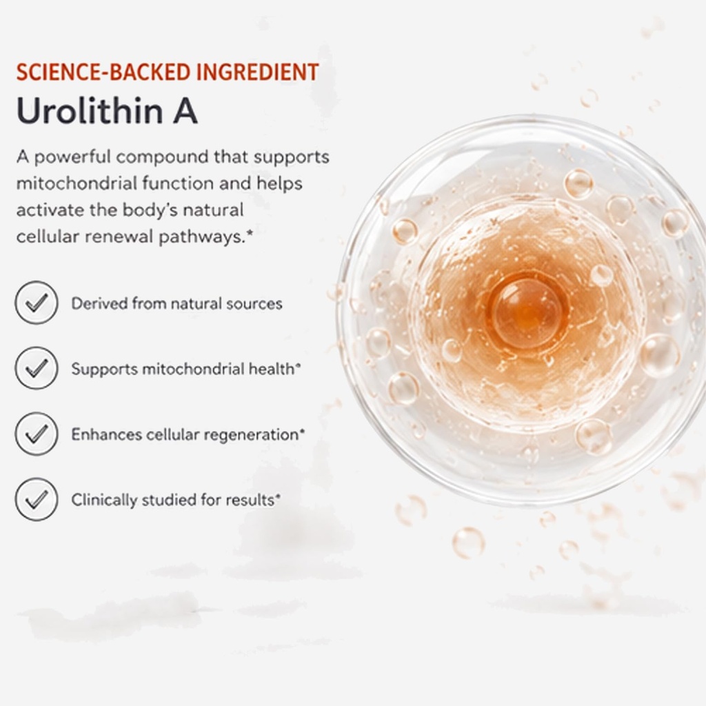 urolithin-a-supplement-healthy-aging-and-4.jpg