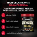 allmax-aminocore-bcaa-powder-for-workout-2.jpg