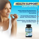 cadane-moringa-extract-capsules-3-months-6.jpg