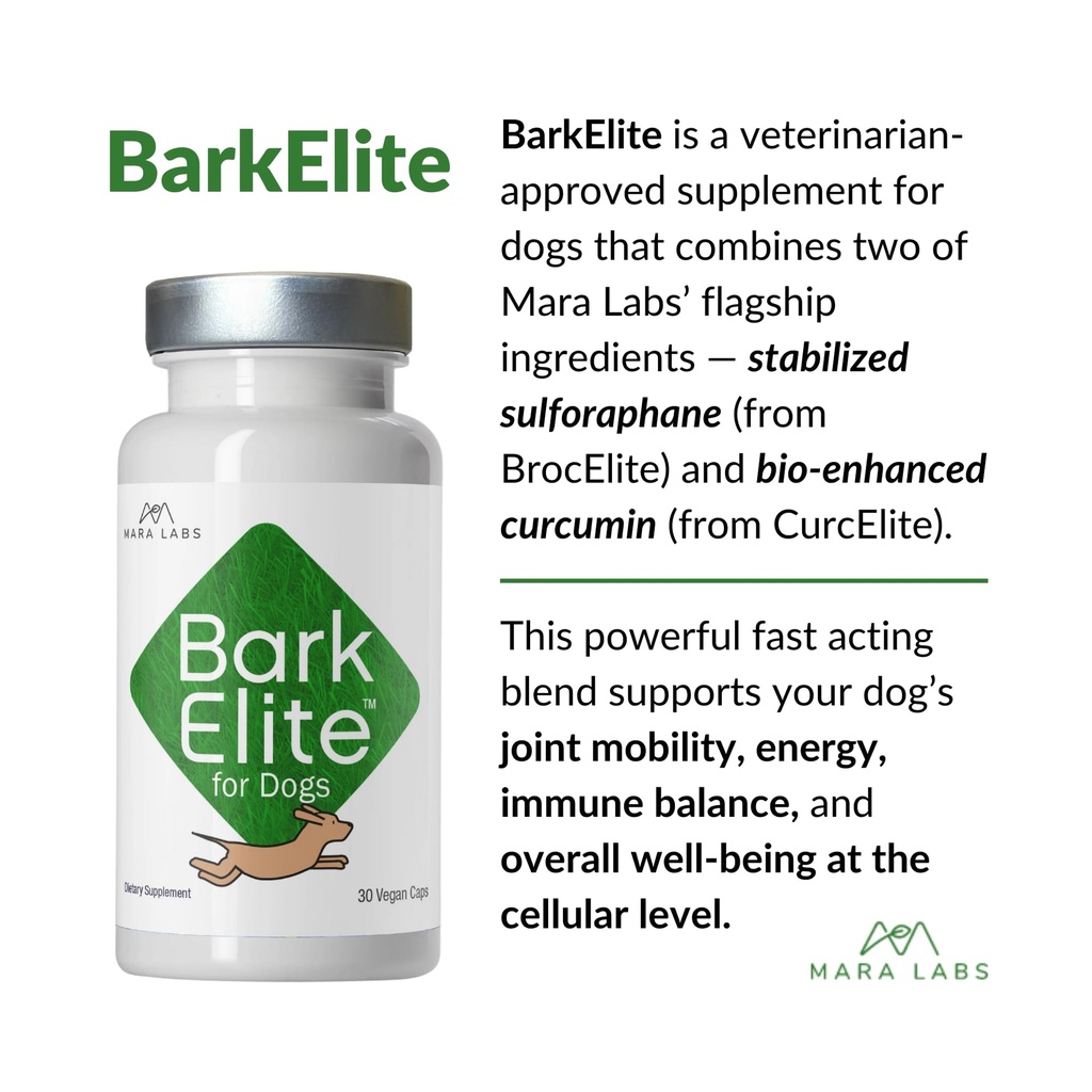 mara-labs-barkelite-for-dogs-stabilized--6.jpg