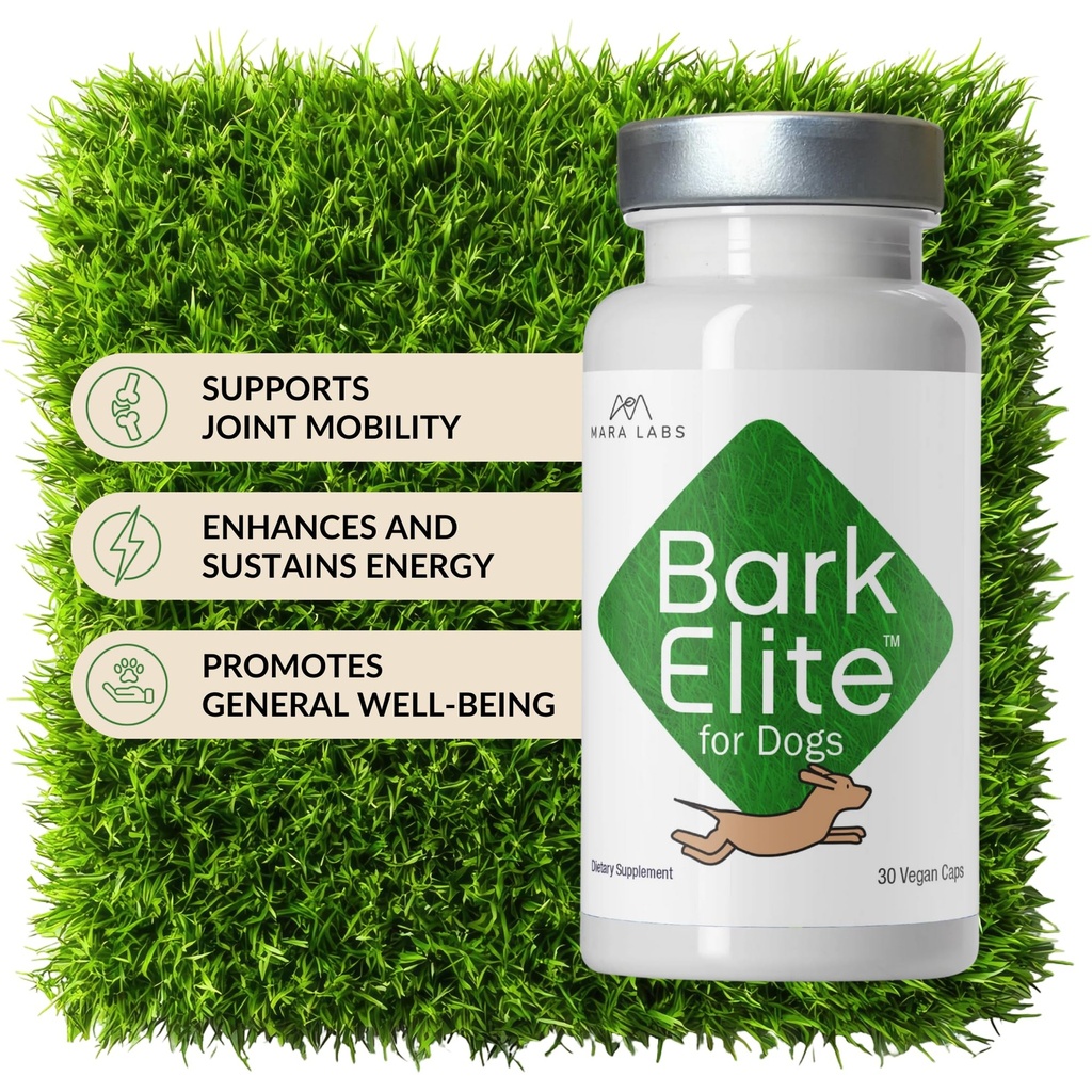 mara-labs-barkelite-for-dogs-stabilized--3.jpg