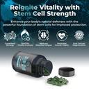 premium-stem-cell-supplements-1-000mg-12-3.jpg