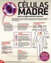 madre-cell-plus-suplemento-de-f-rmula-de-2.jpg