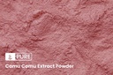 pure-original-ingredients-camu-camu-1lb--3.jpg