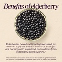 nature-s-way-sambucus-immune-lozenges-el-4.jpg