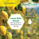 botanic-choice-lemon-balm-rosemary-leaf--4.jpg