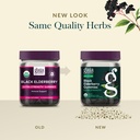 gaia-herbs-black-elderberry-sambucus-nig-6.jpg