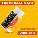 2000-mg-nad-supplement-liposomal-nad-wit-3.jpg