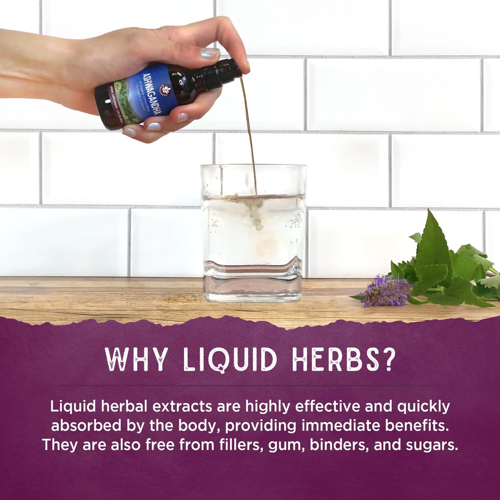 wishgarden-herbs-respiratory-strength-da-5.jpg