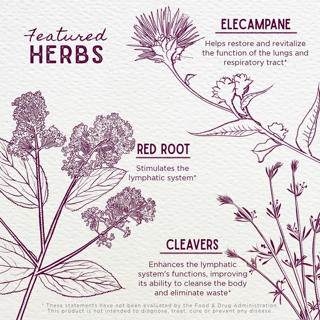 wishgarden-herbs-respiratory-strength-da-4.jpg