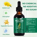 mullein-leaf-extract-for-lungs-mullein-d-3.jpg