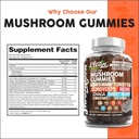 15in1-mushroom-gummies-with-lions-mane-t-5.jpg