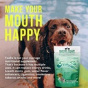 teaza-herbal-energy-pouches-tobacco-free-4.jpg