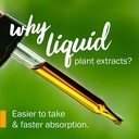 relaxing-sleep-valerian-root-for-sleep-b-3.jpg
