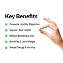 force-factor-probioslim-probiotics-for-w-2.jpg