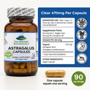 pure-mountain-botanicals-astragalus-root-2.jpg
