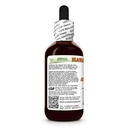 astragalus-astragalus-membranaceus-dry-r-3.jpg