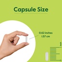bestvite-artemisinin-200mg-per-capsule-6-4.jpg