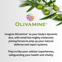 vitalboost-energy-memory-and-immunity-su-3.jpg