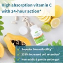 igennus-high-absorption-super-vitamin-c--2.jpg