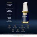 quicksilver-scientific-liposomal-glutath-4.jpg
