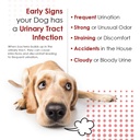cranberry-d-mannose-urinary-tract-suppor-2.jpg