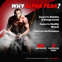 alpha-peak-pills-official-alphapeak-caps-5.jpg