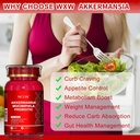 wxw-akkermansia-muciniphila-probiotic-fo-4.jpg
