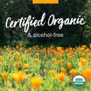 herb-pharm-certified-organic-lemon-balm--5.jpg