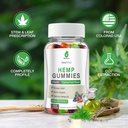 hemp-gummies-for-pain-sleep-anxiety-3-pa-2.jpg