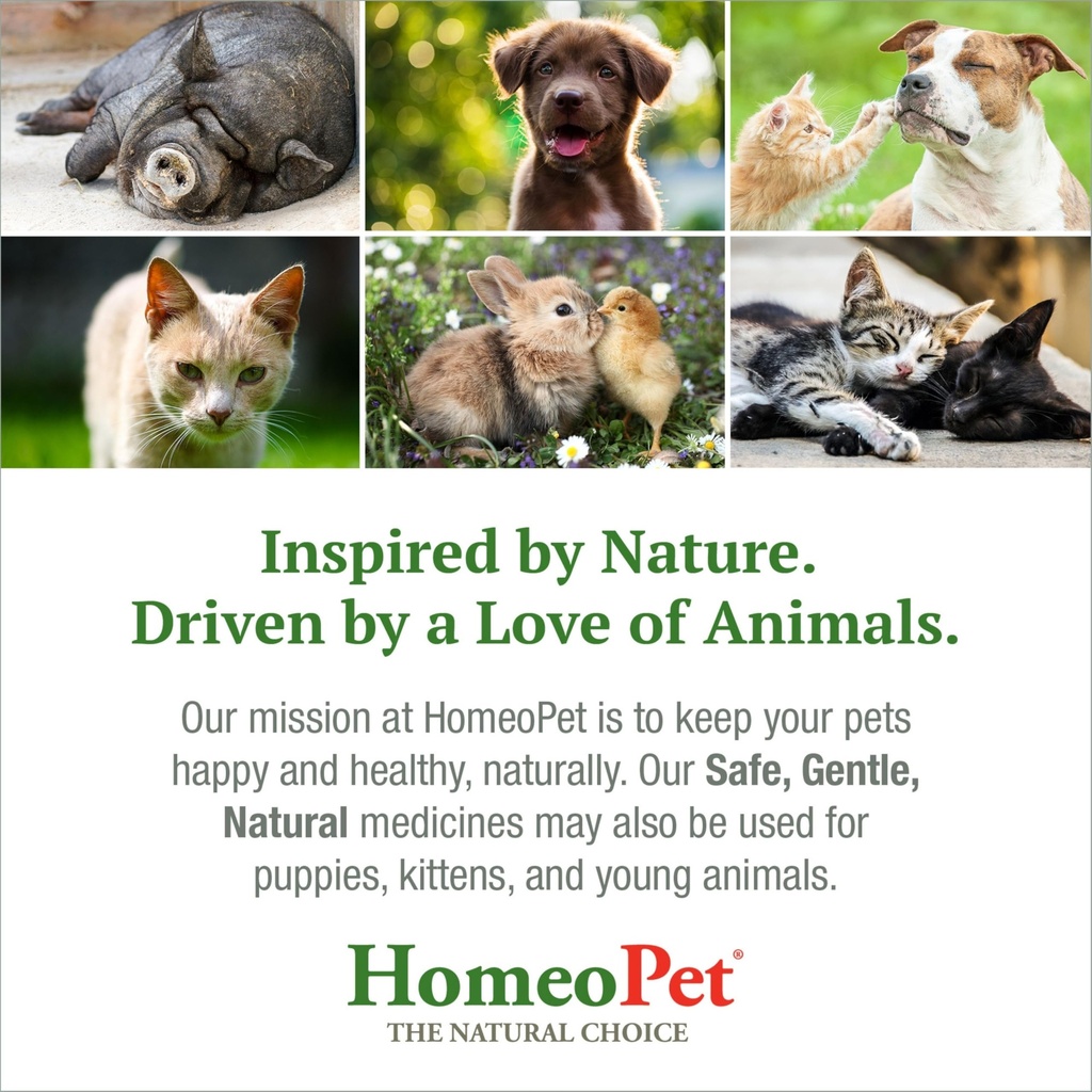homeopet-feline-uti-safe-and-natural-uri-6.jpg